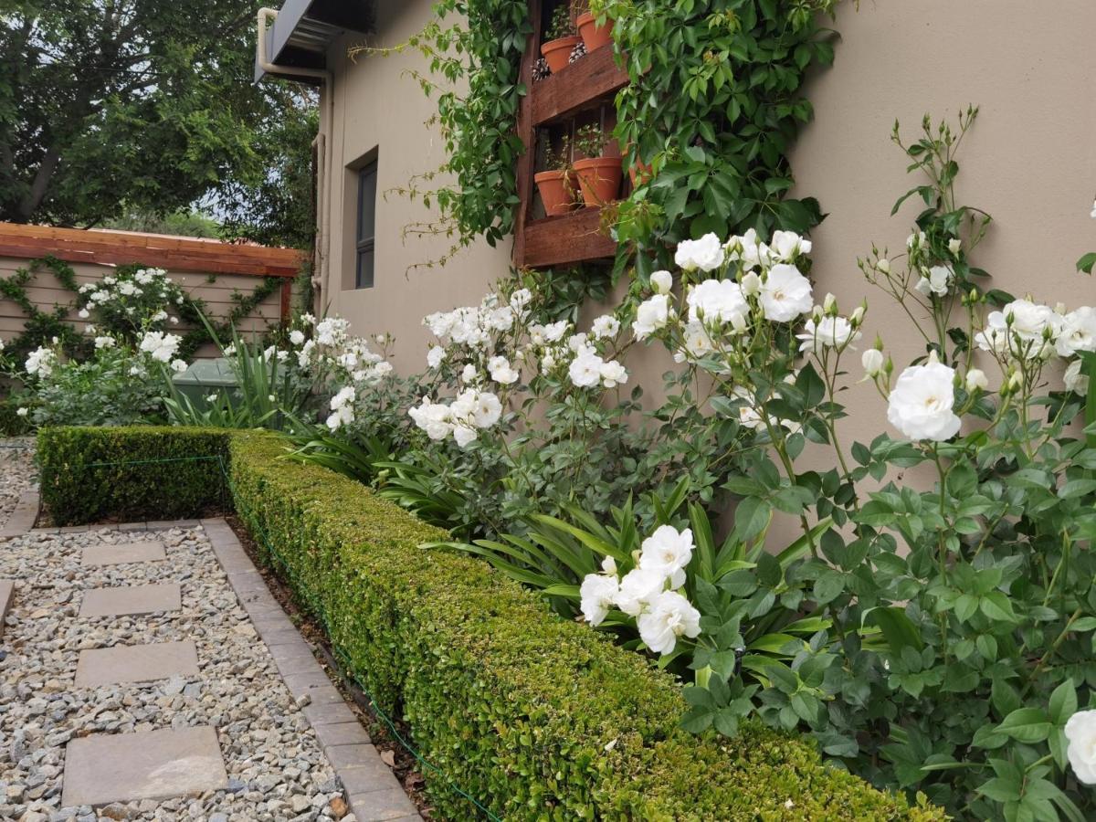 Bella Rosa Bed & Breakfast Potchefstroom Dış mekan fotoğraf